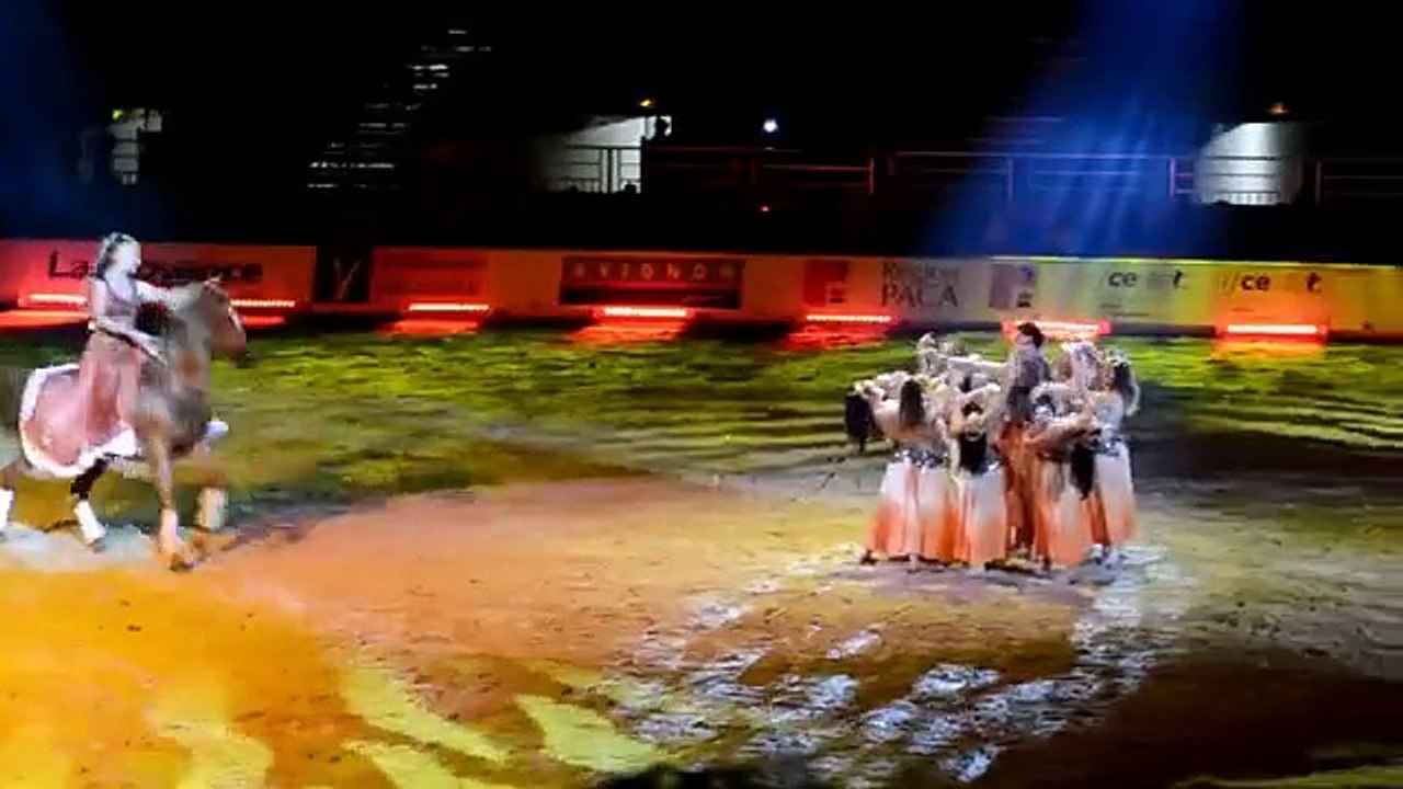 Avignon : Cheval Passion fait le show