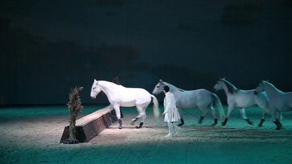 Avignon : Cheval Passion termine en beauté