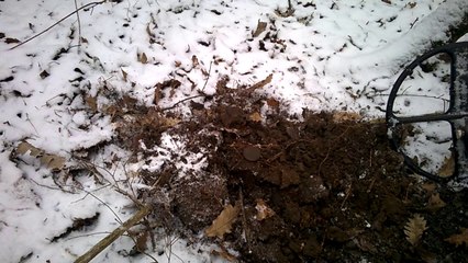 15 Kreuzer (Haus Habsburg)