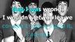The Beatles - Cause You Like Me Too Much - karaoke lyrics