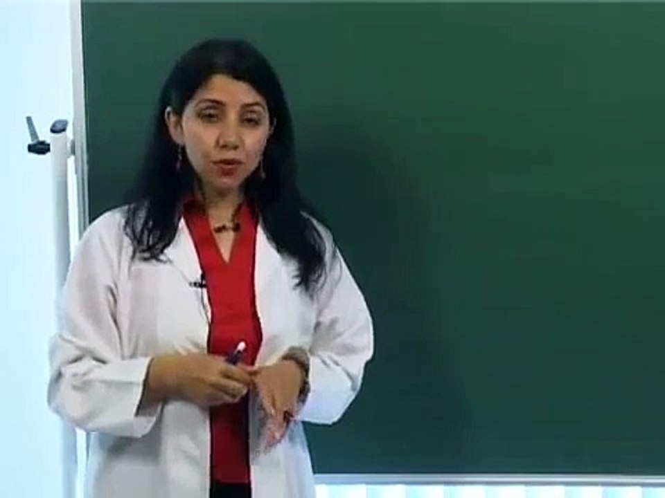 Tarih Ders 16 (ÖSS)- Birinci Dünya Savaşı 2