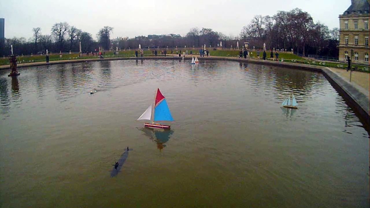 TINTIN fait le Zouave avec son requin !