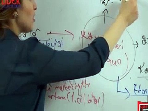 KPSS / Öğretmenlik / Program Geliştirme - Ders 04