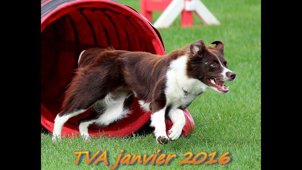 Jag tva-pass janvier 2016