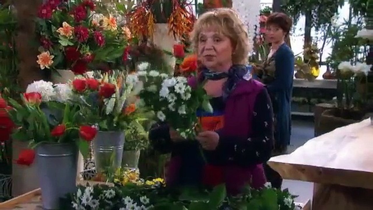 Rote Rosen - Folge 1919