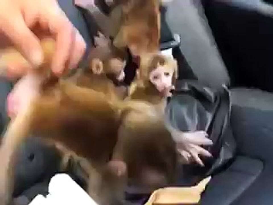 Money can't buy the value of my adorable babe