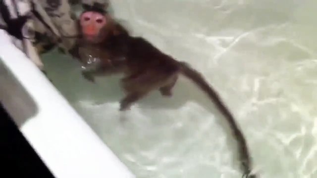 И мы решили выкинуть фото с ванны