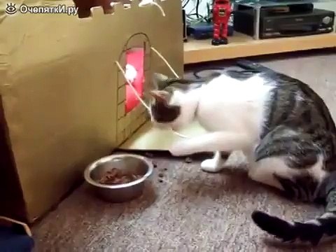 Почему он есть именно так