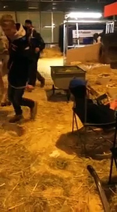 Cette vache a fait ses besoins sur la tête de cet homme totalement bourré