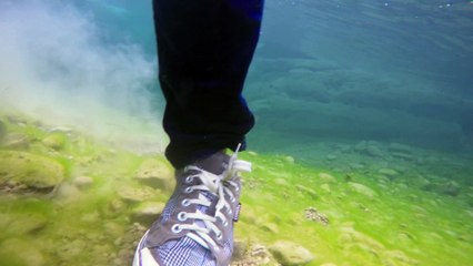 Whistle 1st promo FINAL (1-23-2016)