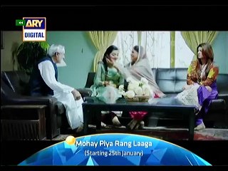 Mohay Piya Rang Laaga Ary Promo