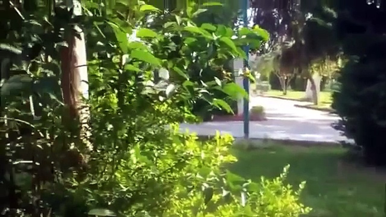 Arabesk Rap Kardeşimin Yengesi ibretlik)