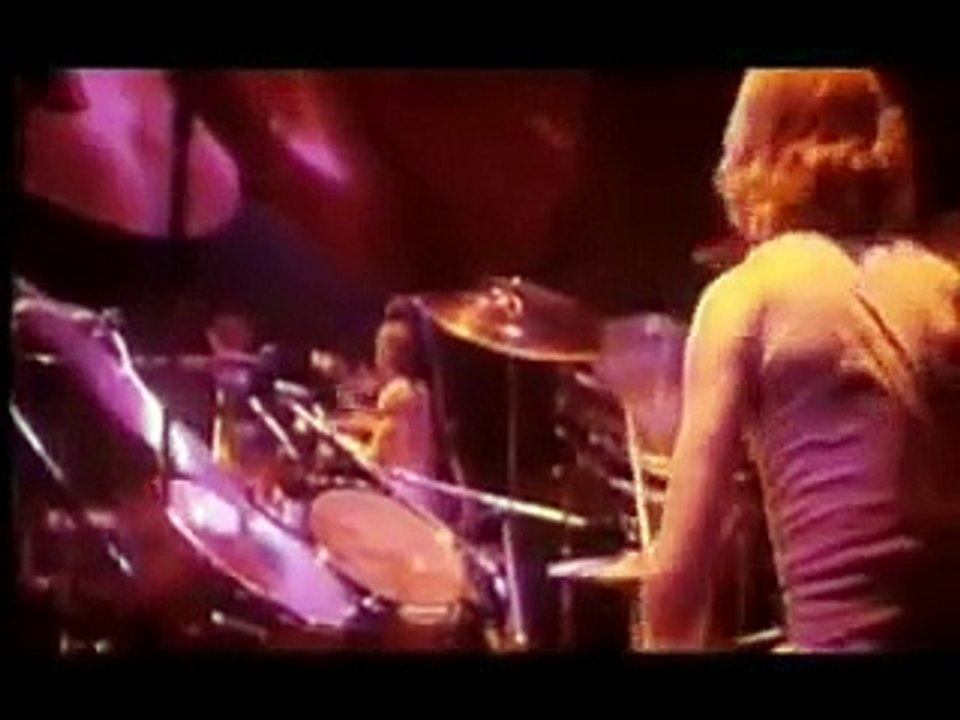 Genesis- Live. Fly on a Windsheild