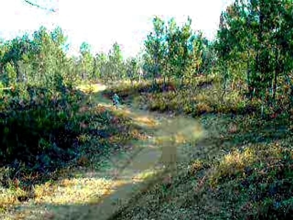 Tarabias 3