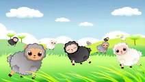 Baa Baa Black Sheep with Lyrics - Kids Songs and Nursery Rhymes by EFlashApps