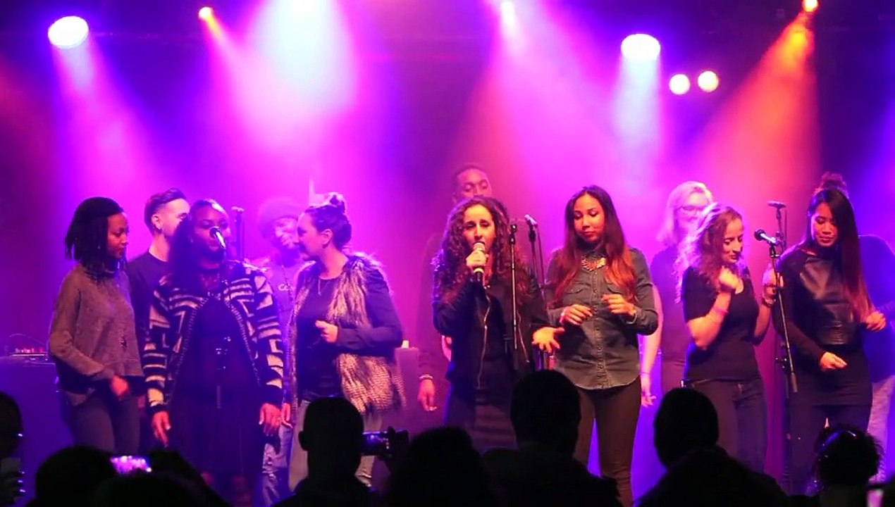 World For Tchad 2016 au Cabaret Sauvage (Extraits du concert caritatif)