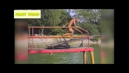 Funny Videos 2016 - Funny Vines - Try not to laugh challenge - Funny Videos Compilation part 11