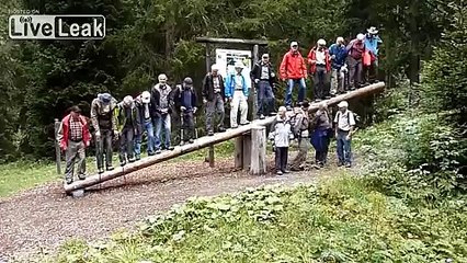 Old Men On A Log- Fail