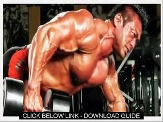 Strength Training Exercises   2 X 4 Maximum Strength Program Review Guide