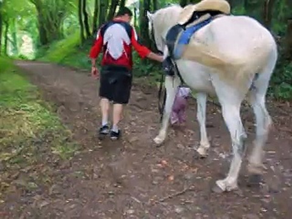 angelina qui tire paso 2014