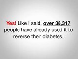 Diabetes Destroyer   Diabetes Destroyer System   THE HONEST TRUTH