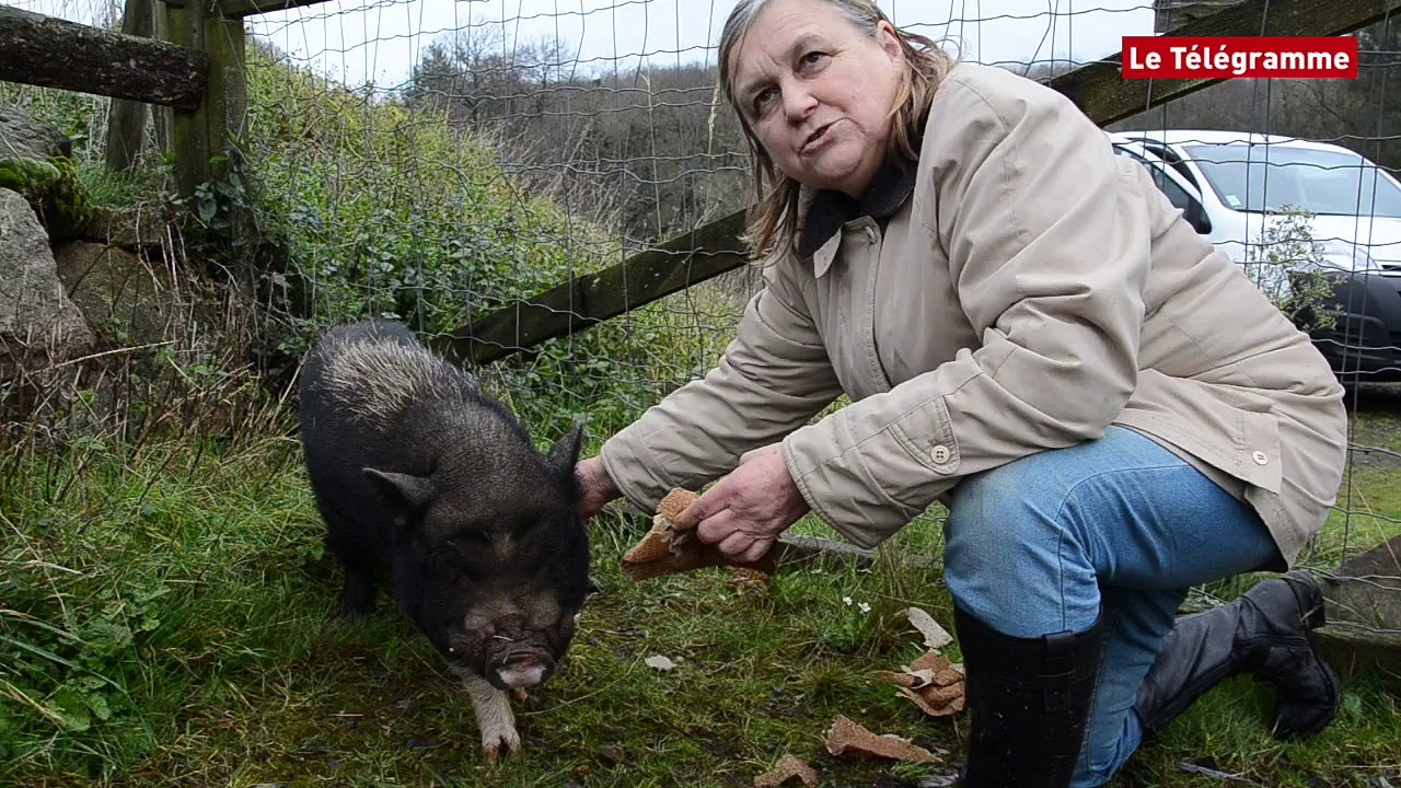 Quemper-Guézennec (22). La propriétaire de l'ancien parc animalier La Vallée d'Autrefois répond aux détracteurs