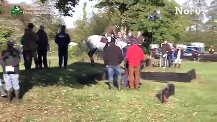 07 - TIHA Hunter Show and Go 2014