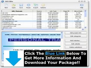Seo Elite Review 2011 + Seo Elite Instructions
