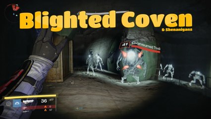 Blighted Coven Daily Mission