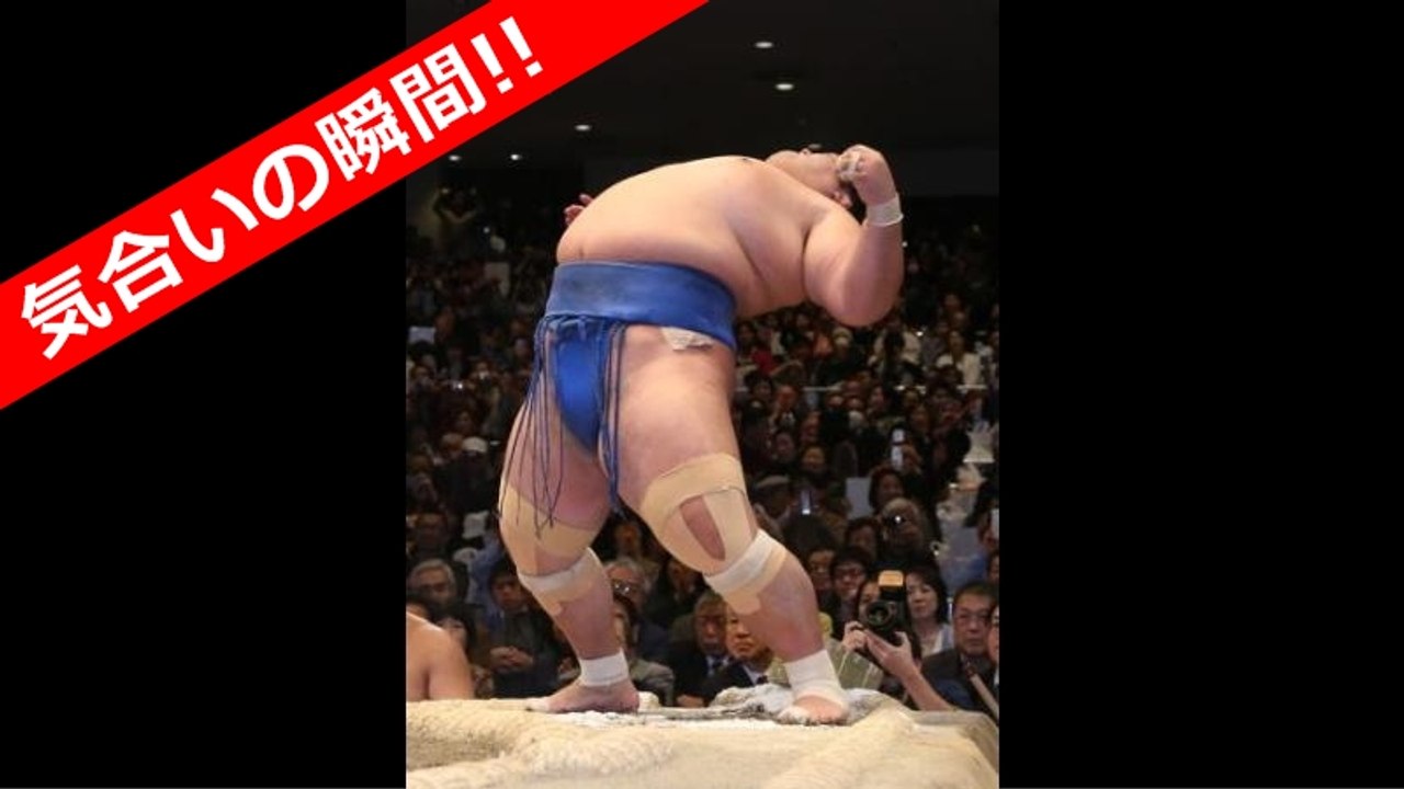琴バウアー 琴奨菊 ルーティーン 大相撲