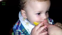 Babies Eating Lemons for the First Time Compilation 2016-