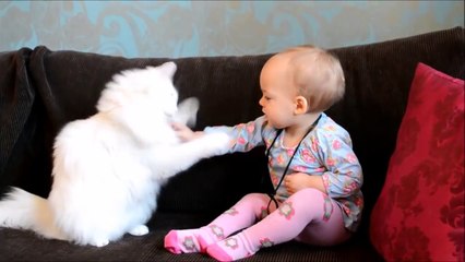 WHEN CATS -u0026 BABIES COLLIDE