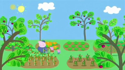 Peppa Pig Season 4 Episode 24 Wishing Well