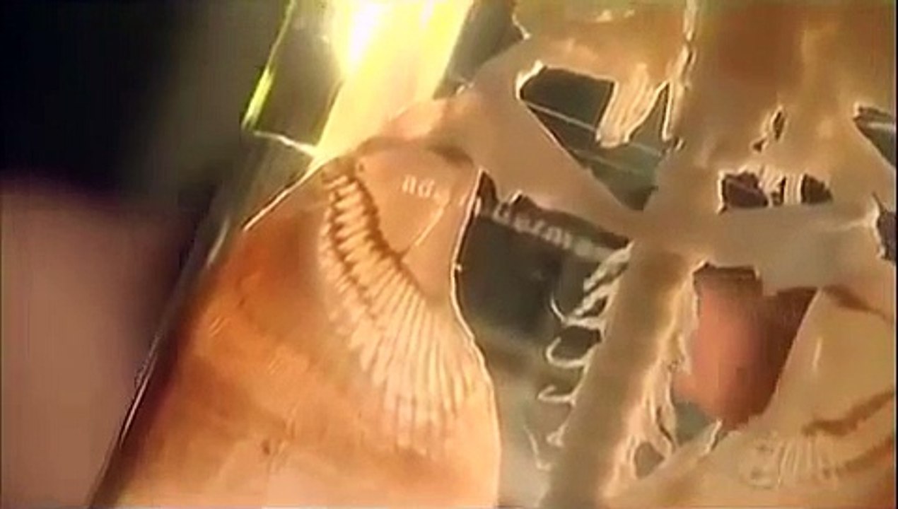 Monstres marins paranormal preuves de l\'existence des monstres marins documentaire en français