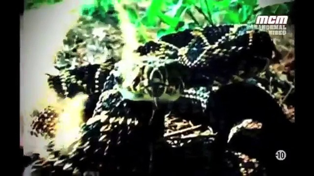 La Legende Du Monstre De Fouke [Documentaire ParaNormal]