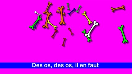 Le partie d corp - De os, i en faut - alain l lait  (Frenc body parts)