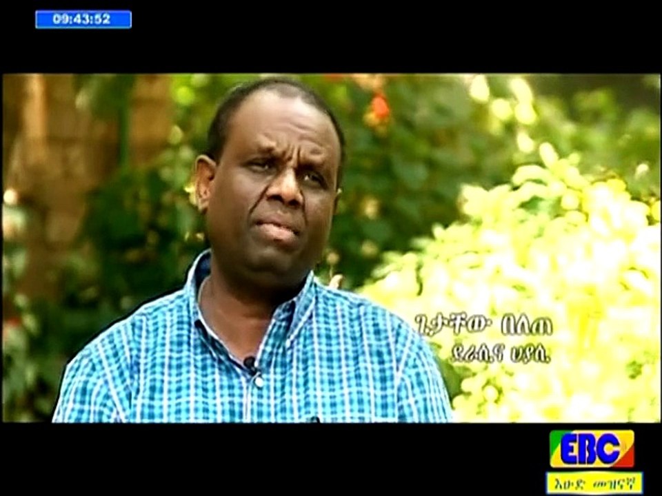 በ50ኛ አመት የኢትዮጵያ ቴሌቪዥን ታሪክ ውስጥ አዝናኝ ፕሮግራሞችን ያቀረቡ ባለሞያዎች
