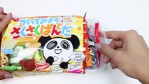 Saku Saku Chocolate Panda Cookies Fun & Easy DIY Japanese Candy Making Kit! (FULL HD)