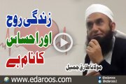 Zindgi Rooh Aur Ihsas Ka Naam Hai By Maulana Tariq Jameel