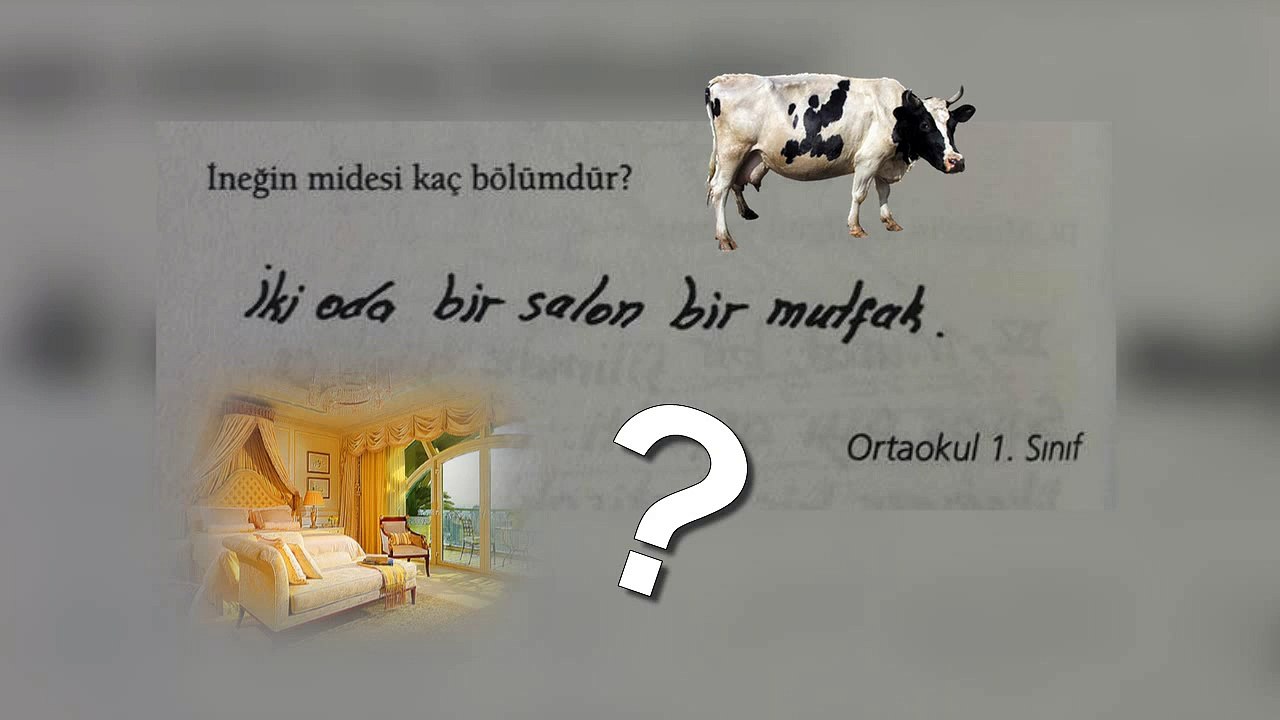 Öğrencilerin Komik Sınav Cevapları