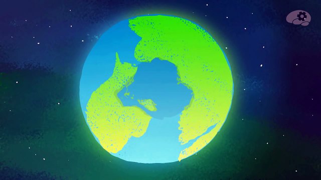 В чем разница между Арктикой и Антарктикой