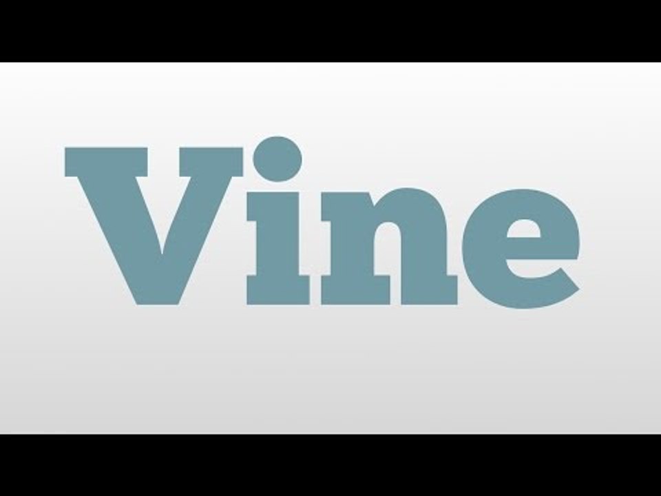 Vine meaning and pronunciation video Dailymotion