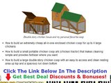 Building A Chicken Coop For Dummies Discount   Bouns