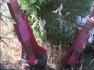 Digging Evergreen Trees At a Nursery  in Bucks County Pa  Near Doylestown