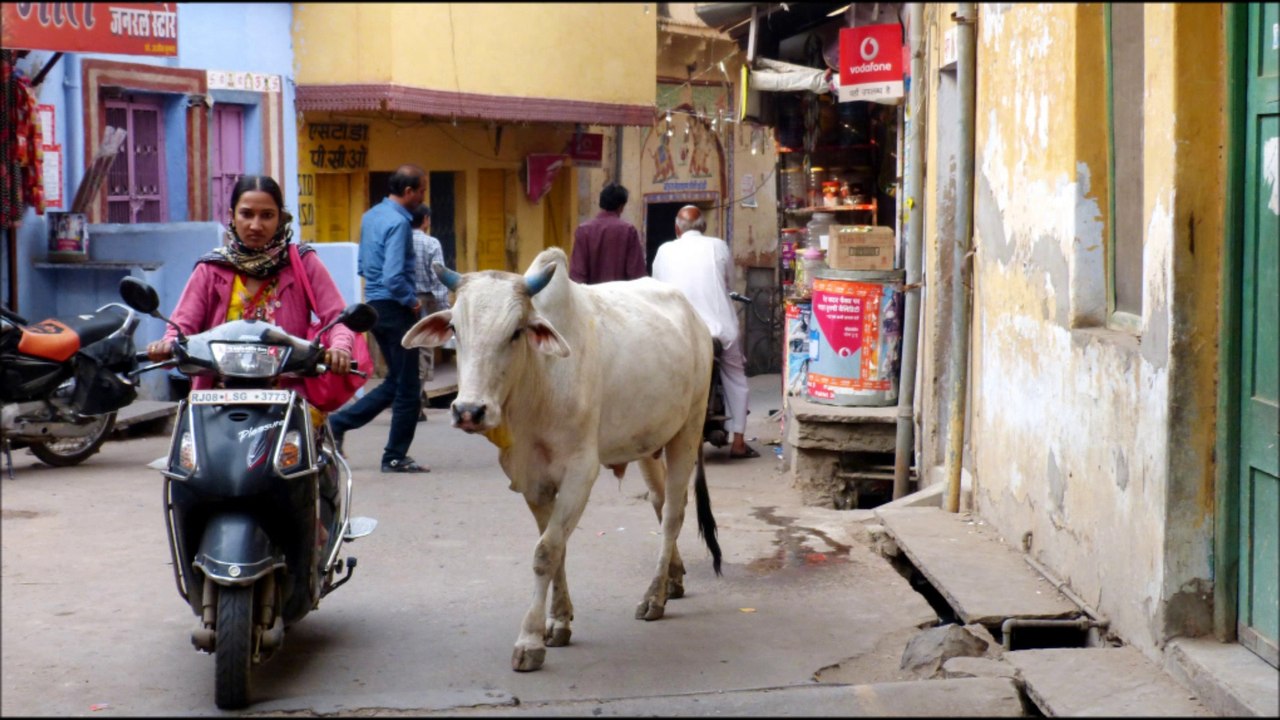 INDE - Bundi, la Ville Bleue.