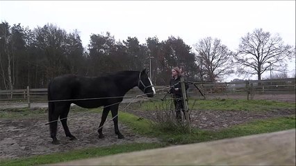 Clickertraining Deejay part 1 (session 1)