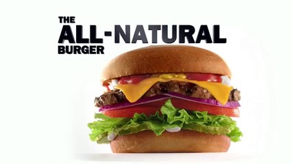 Pub Super Bowl 2015 Le spot controvorsé de Carls Jr avec Charlotte McKinney