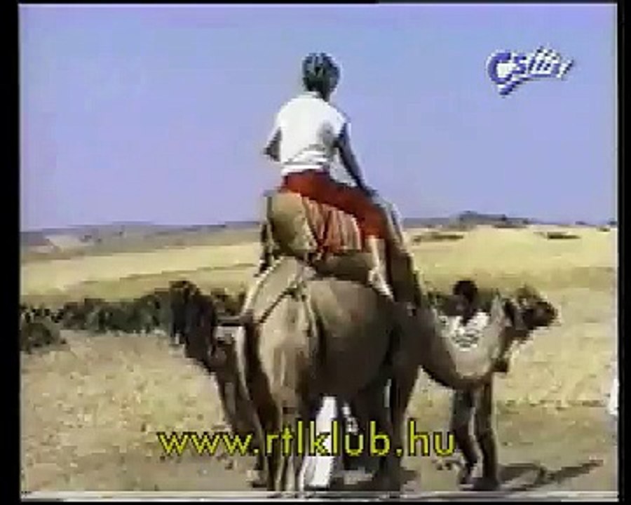 camel fall
