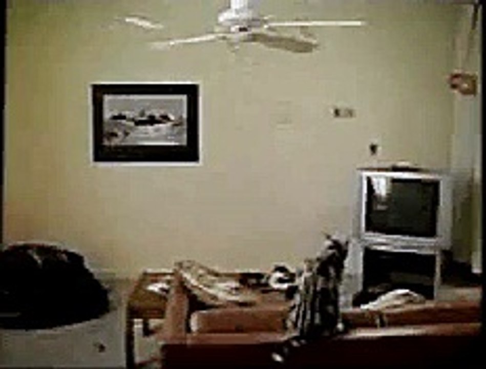 nokia phone video