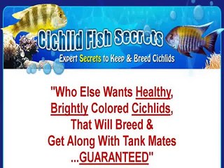 Cichlid Fish Secrets
